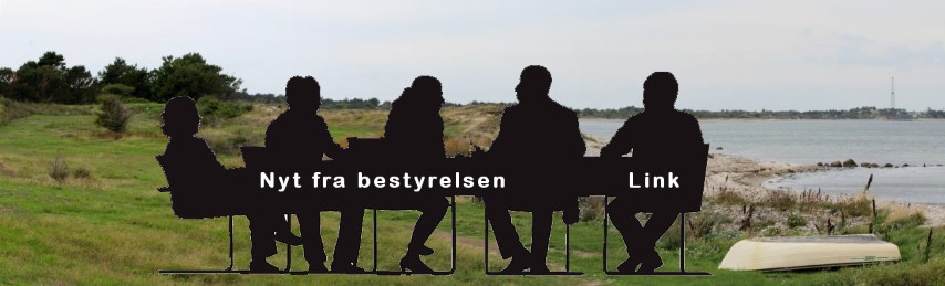 Bestyrelsen